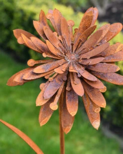 Bloemen Tuinprikker Beemdkroon Ecoroest