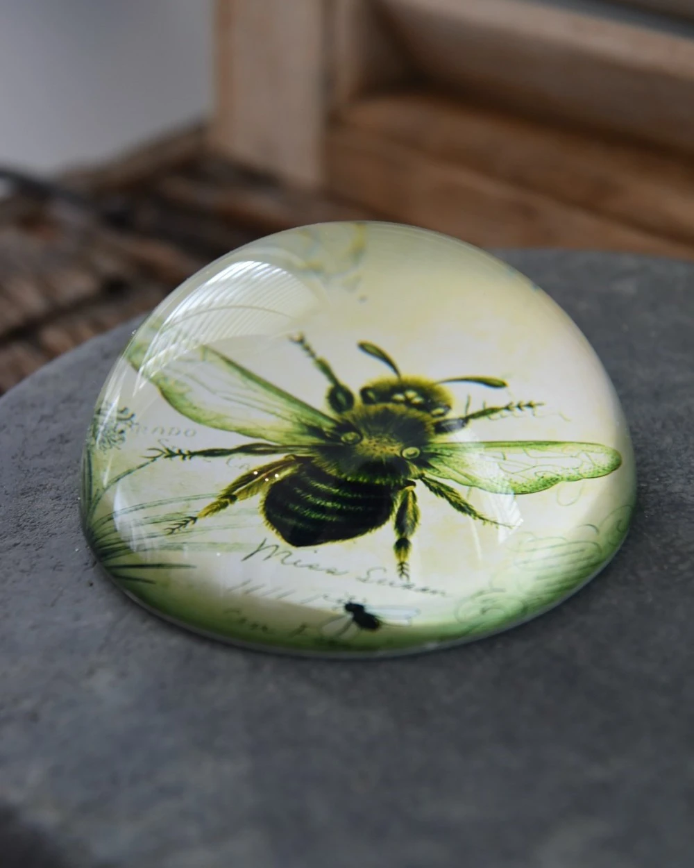 Botanische Insect Presse Papier Bij, Groot - Afbeelding 2