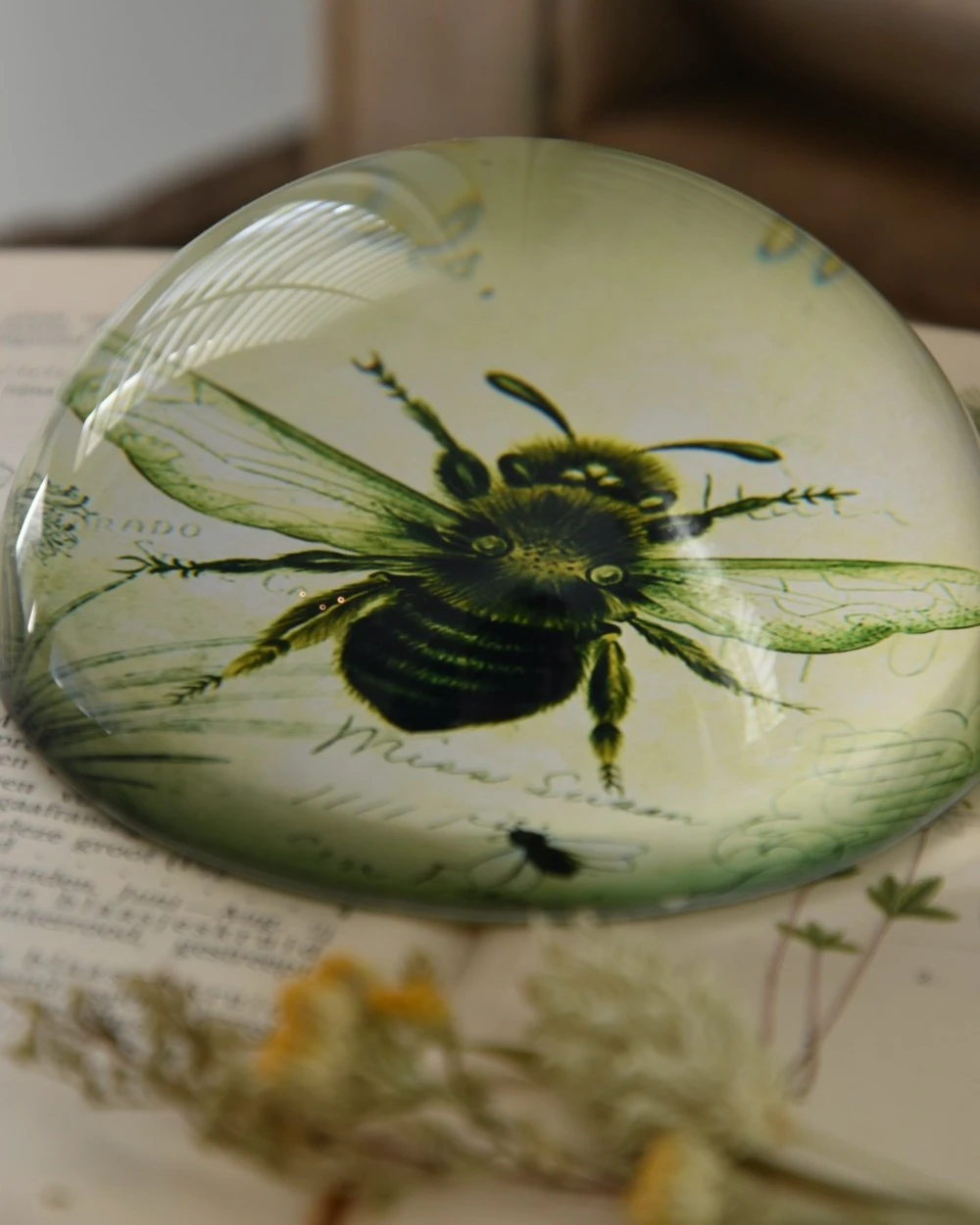 Botanische Insect Presse Papier Bij, Groot - Afbeelding 4