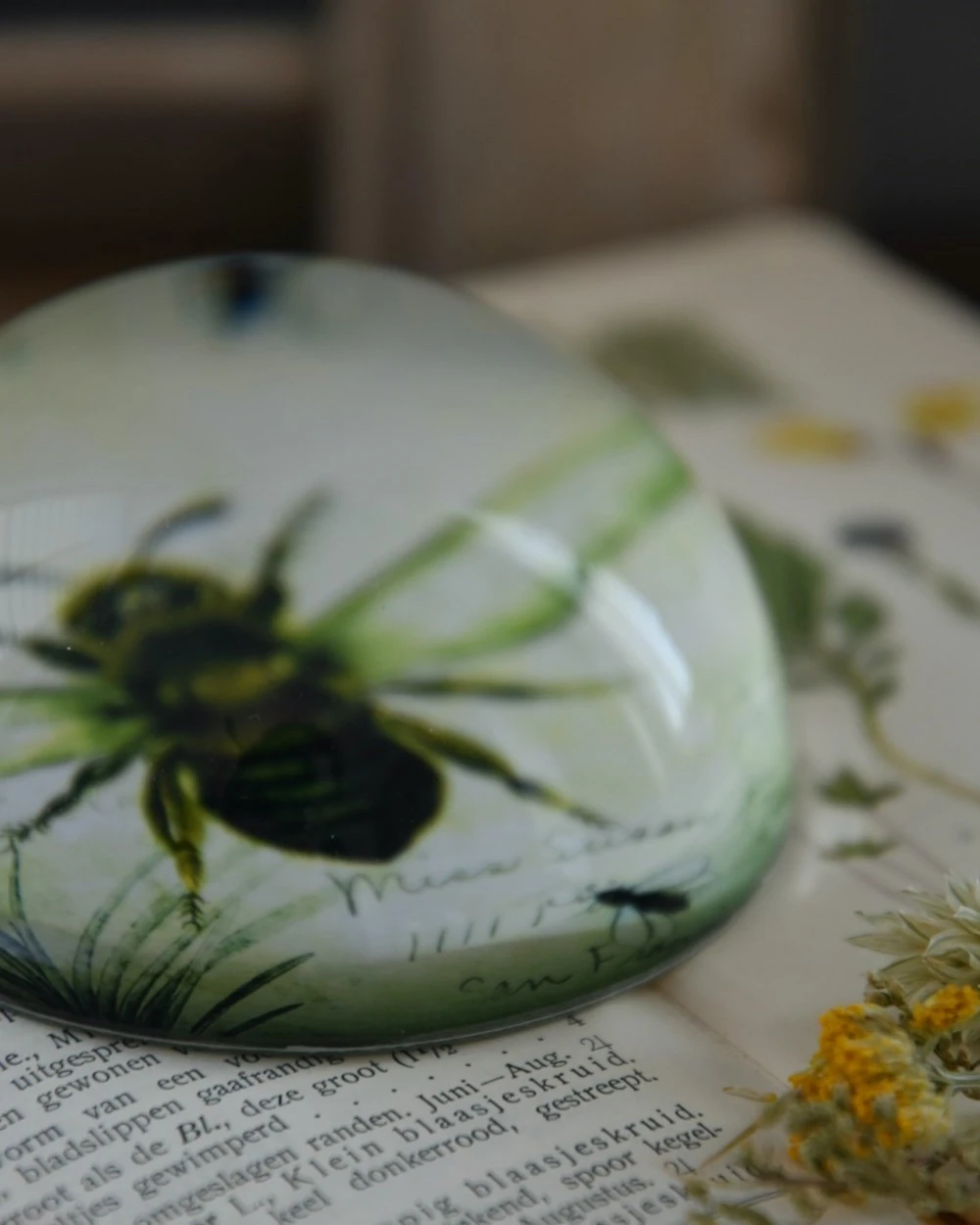 Botanische Insect Presse Papier Bij, Groot - Afbeelding 7