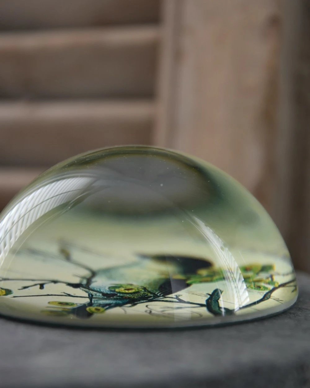 Brocante Glazen Halve Bol Vogel Op Tak, Groot - Afbeelding 6