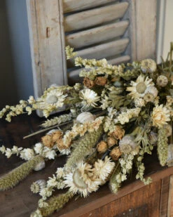 Droogbloem Toef In Gemengd Naturel Crème