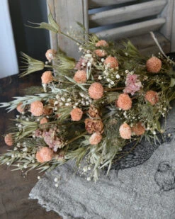 Droogbloem Toef In Pastel