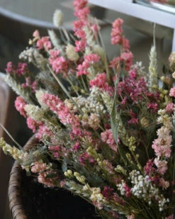 Droogbloem Toef In Pastel Roze, Een Vleugje Wit En Groen