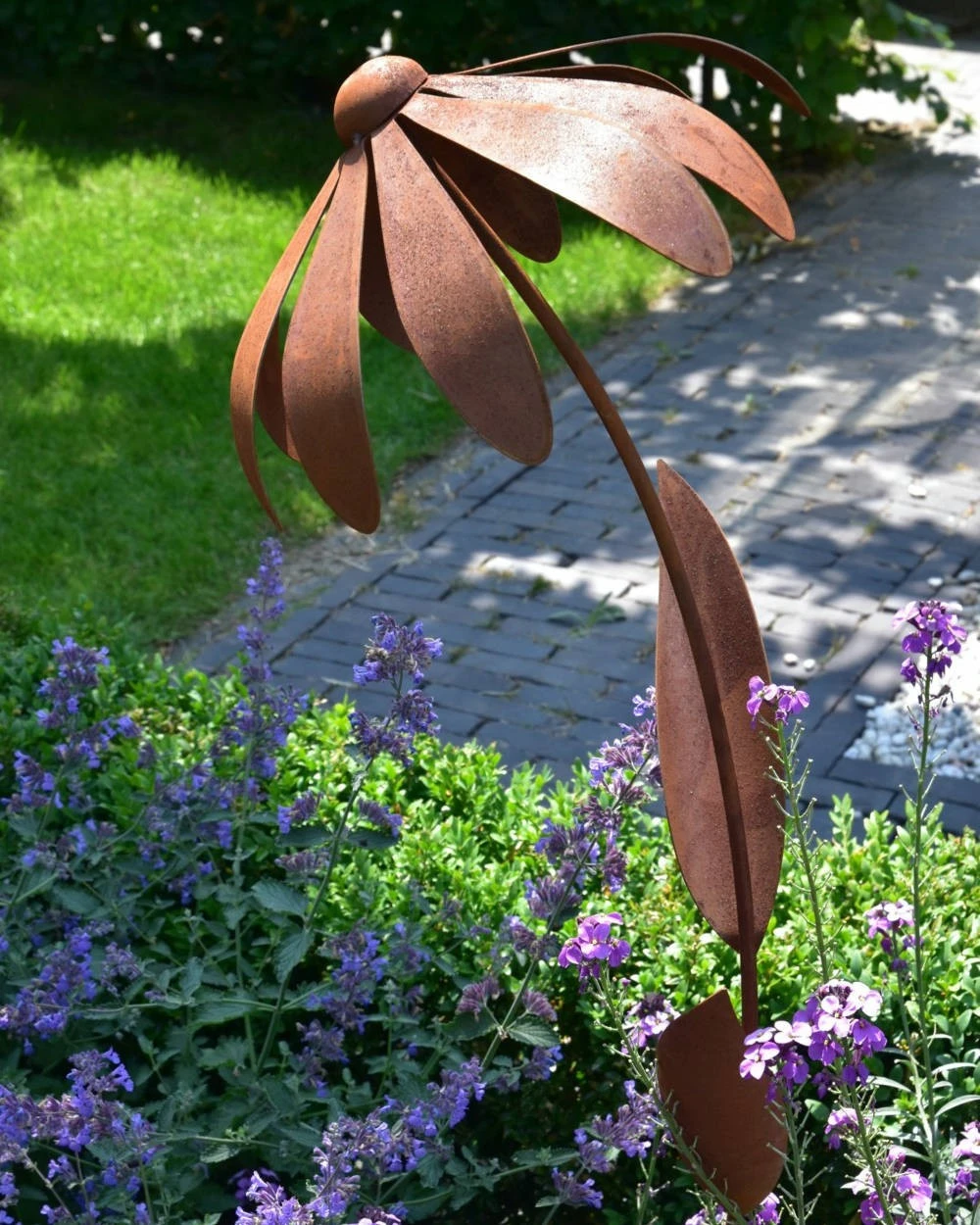 Echinacea Tuinsteker - Afbeelding 7