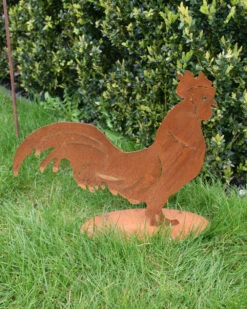 Ecoroest Silhouet Haan Met Sierlijke Staart