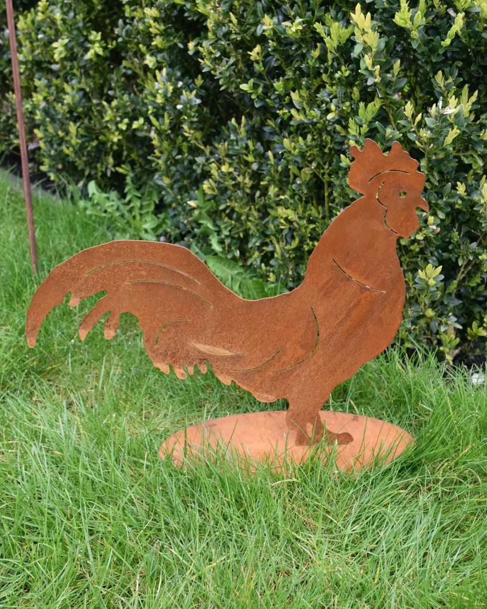 Ecoroest Silhouet Haan Met Sierlijke Staart