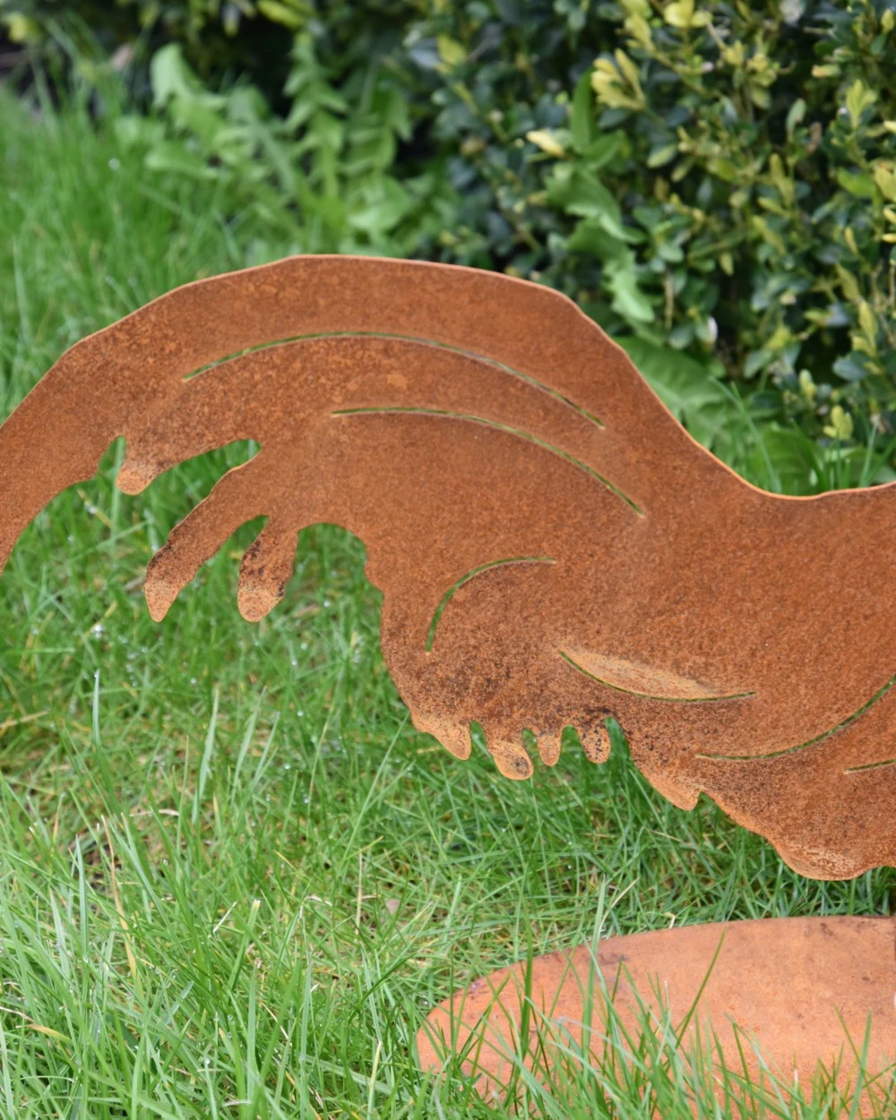 Ecoroest Silhouet Haan Met Sierlijke Staart - Afbeelding 3