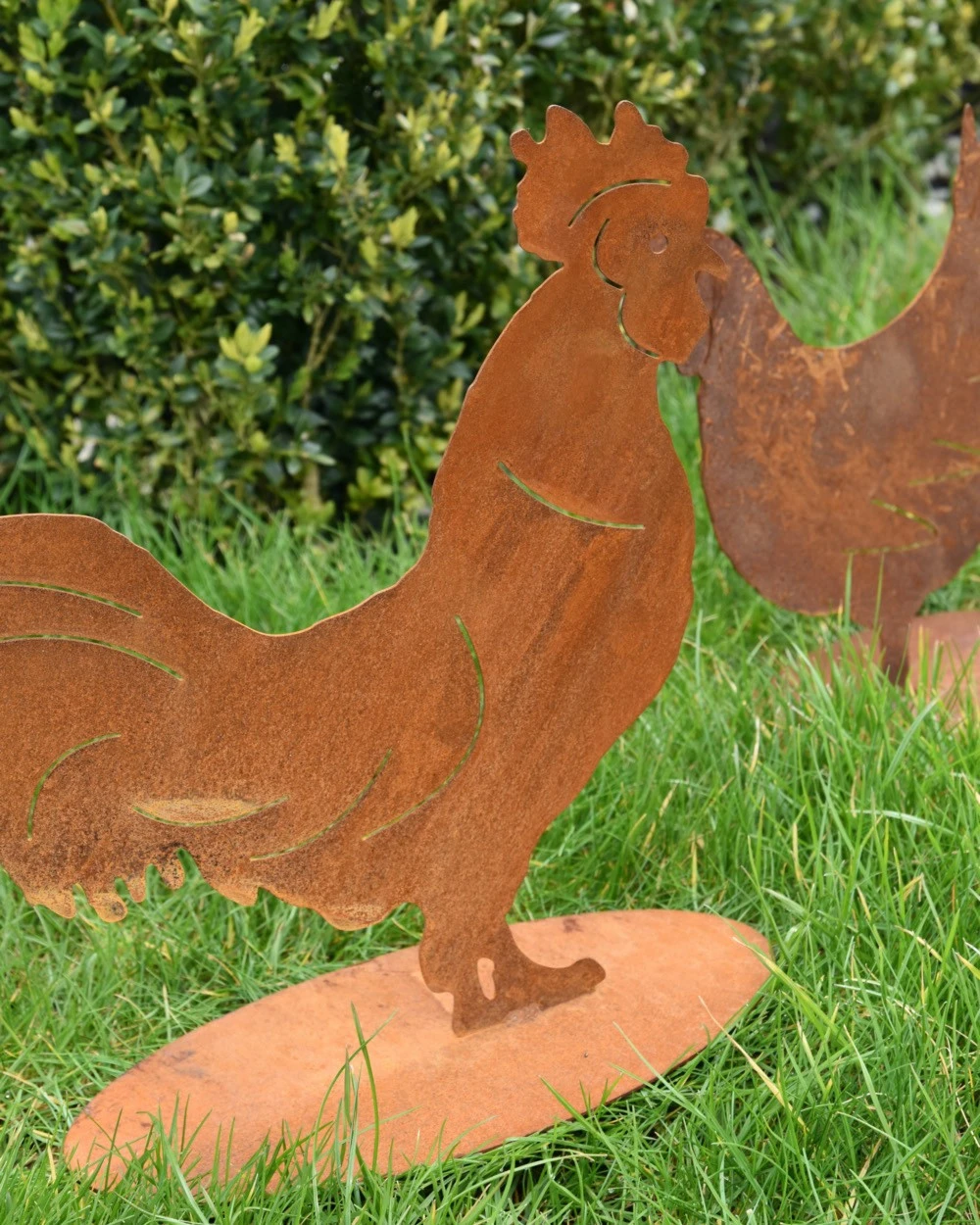 Ecoroest Silhouet Haan Met Sierlijke Staart - Afbeelding 4