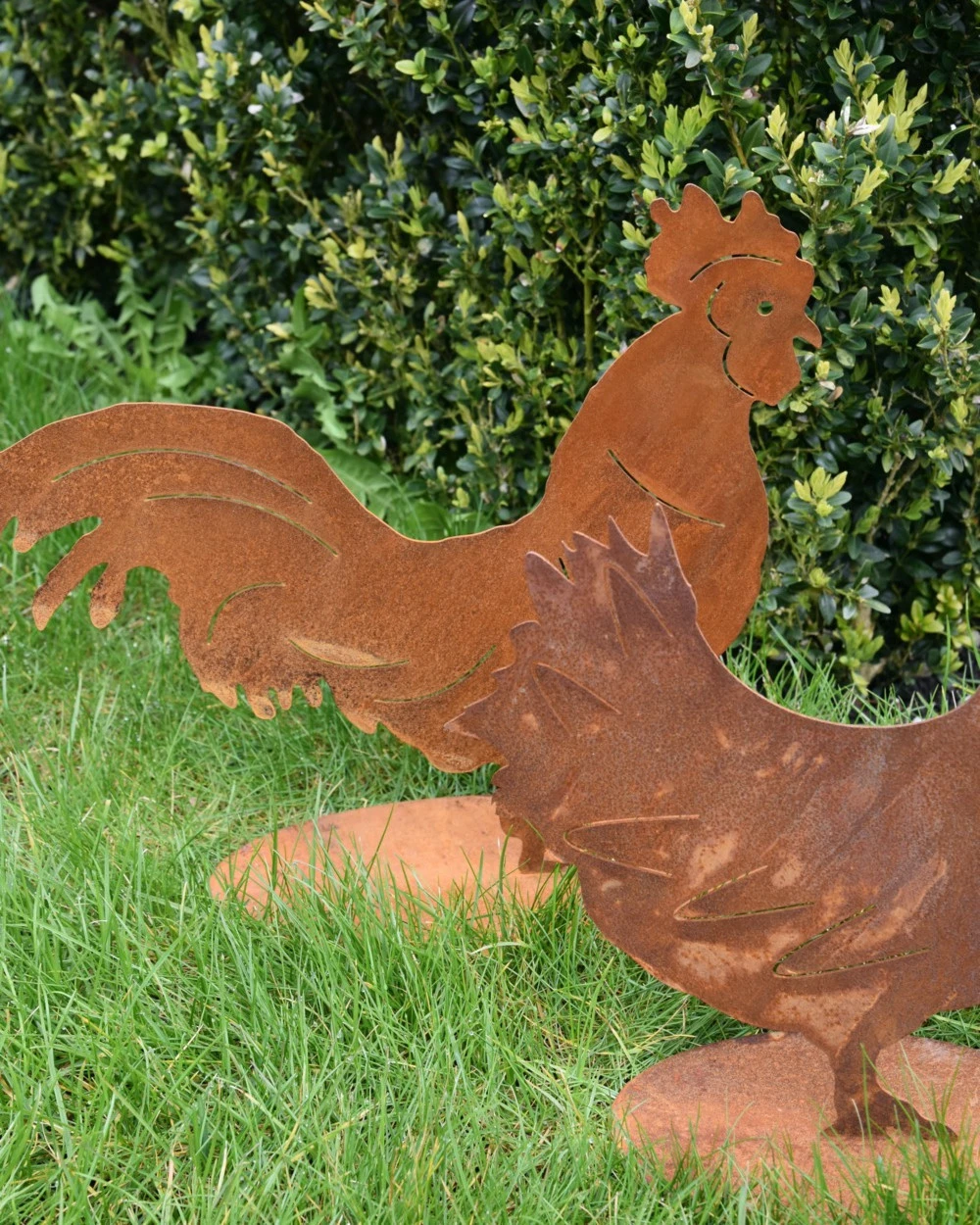 Ecoroest Silhouet Haan Met Sierlijke Staart - Afbeelding 5