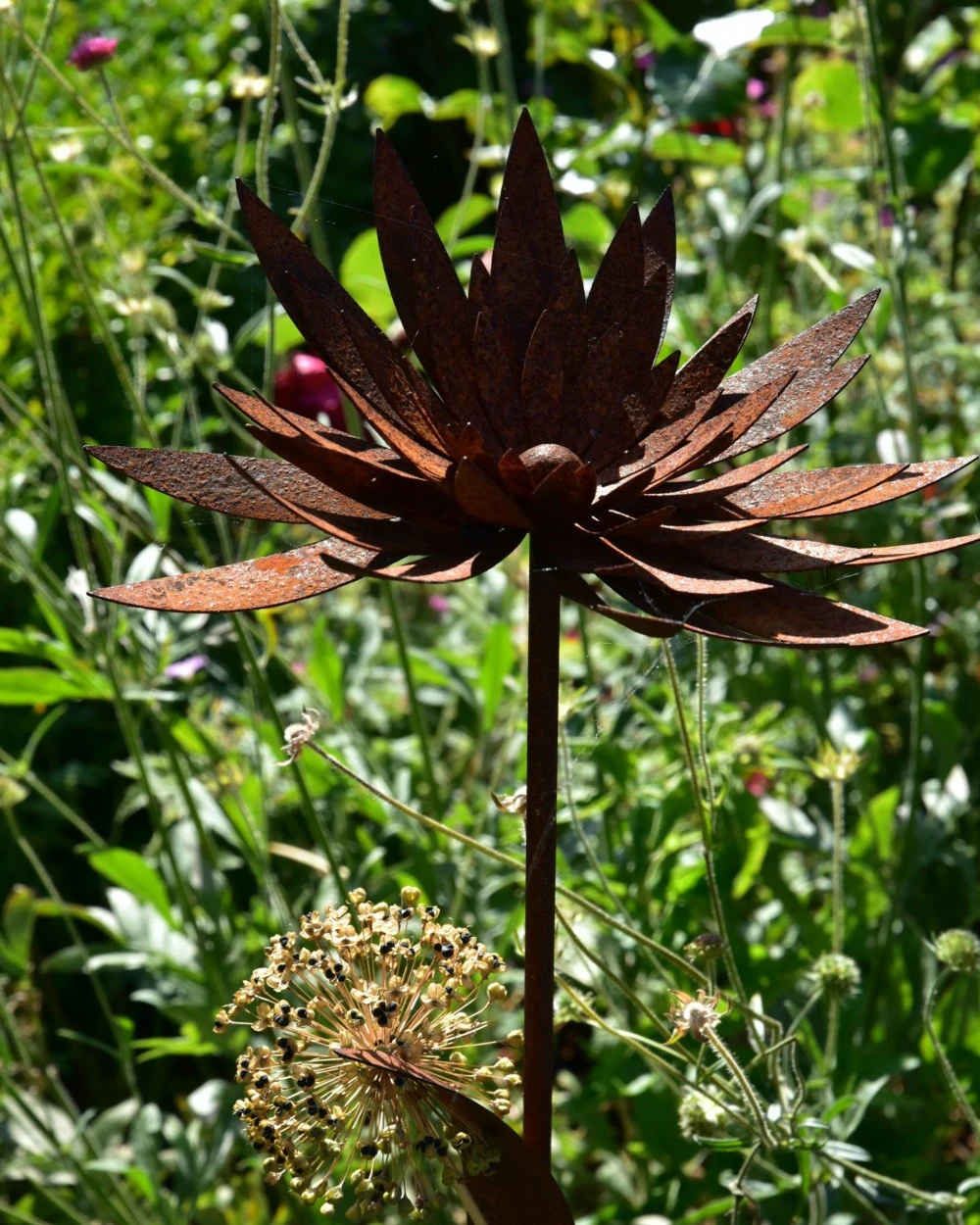 Ecoroest Tuinprikker Gevulde Chrysant - Afbeelding 4