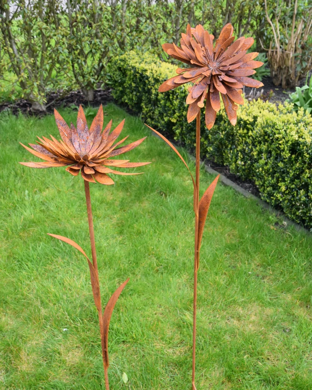 Ecoroest Tuinprikker Gevulde Chrysant - Afbeelding 5