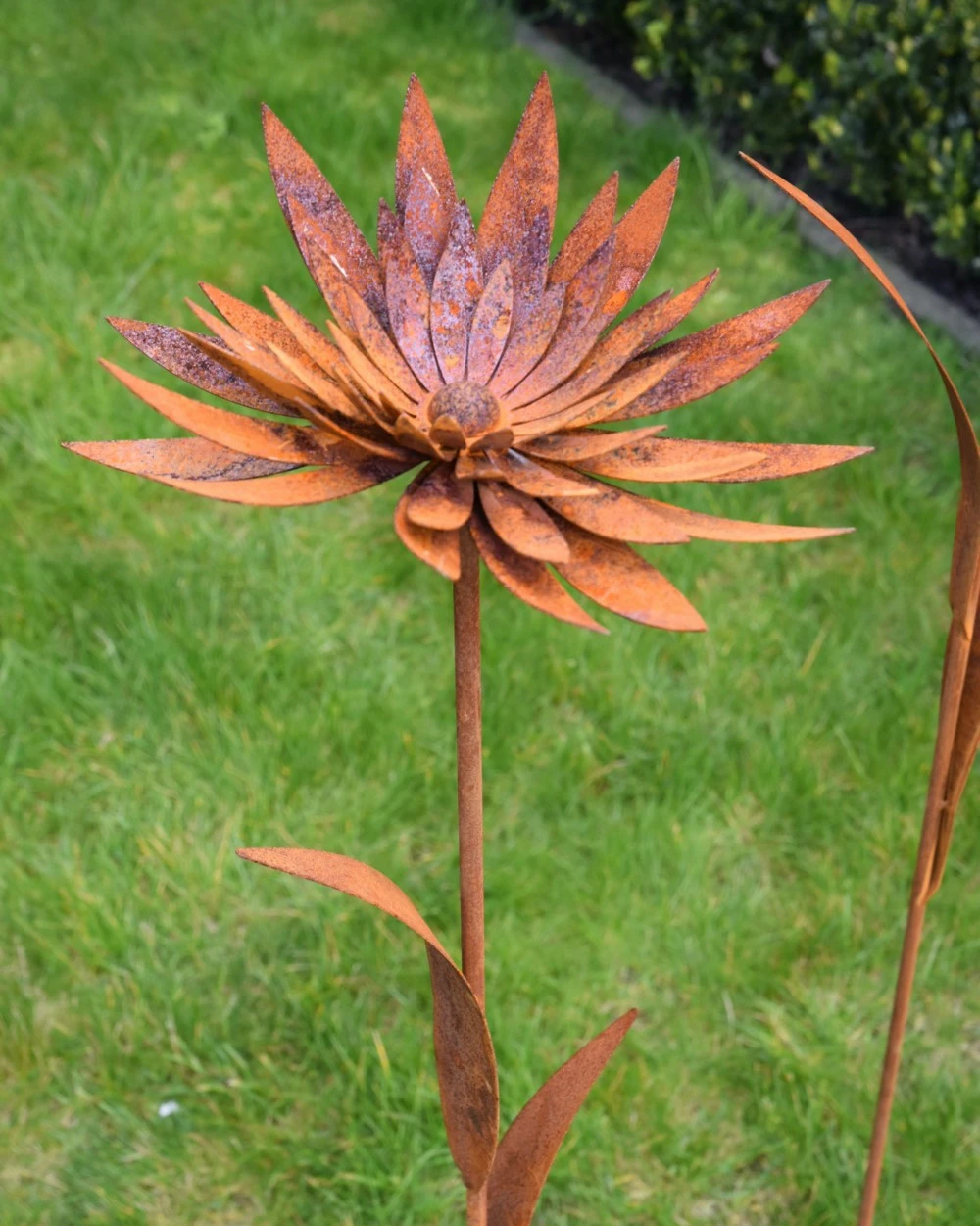 Ecoroest Tuinprikker Gevulde Chrysant - Afbeelding 7