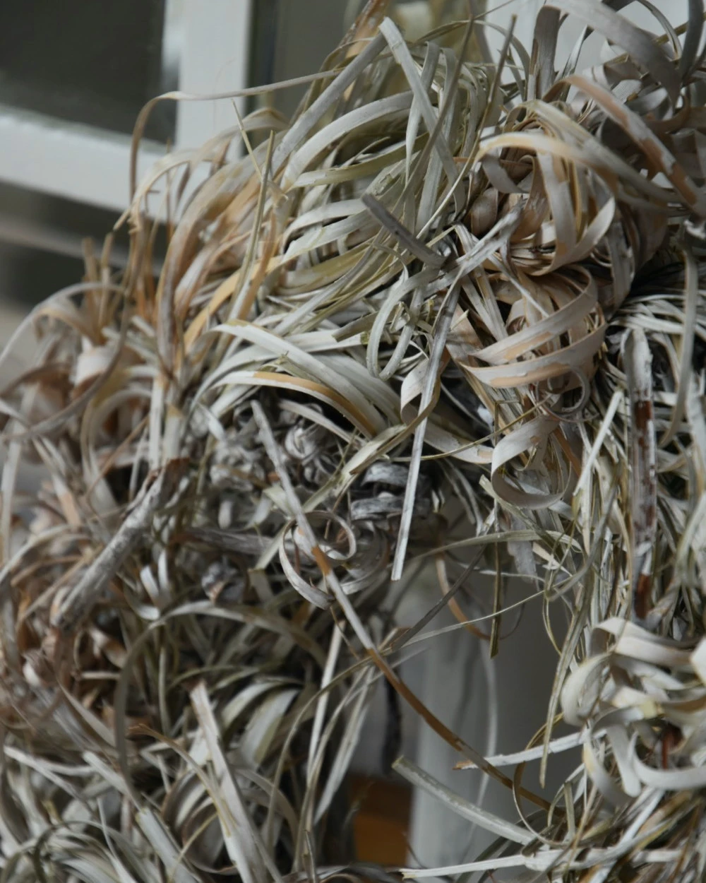 Gedroogde Tiririca Cyperus Gras Krans Stone Washed - Afbeelding 4