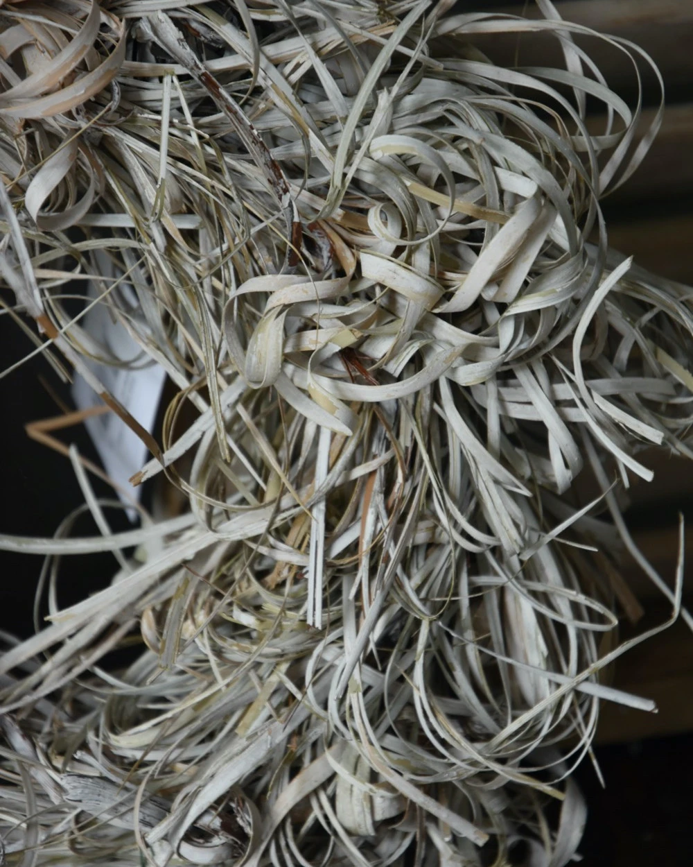 Gedroogde Tiririca Cyperus Gras Krans Stone Washed - Afbeelding 6