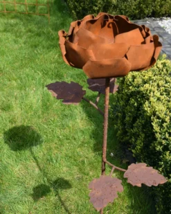 Gevulde Tuinroos Als Tuinprikker Ecoroest