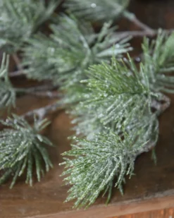 Groene Vertakte Pinus Tak Met Subtiele Ijskristallen