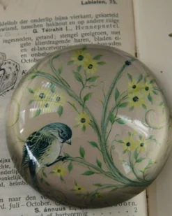 Halve Bol Van Glas Met Vogels In Pastel