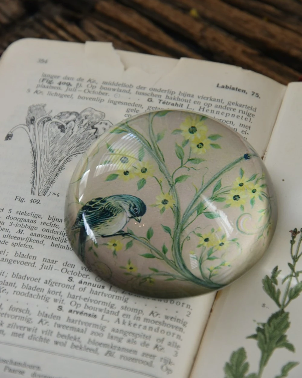 Halve Bol Van Glas Met Vogels In Pastel - Afbeelding 6