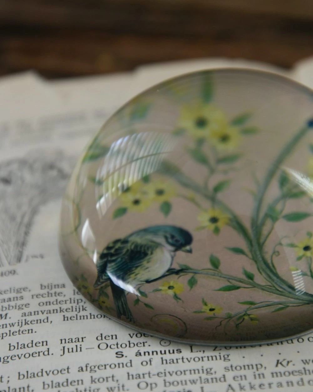 Halve Bol Van Glas Met Vogels In Pastel - Afbeelding 8