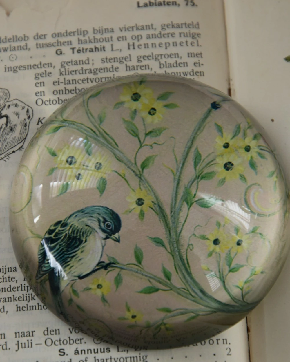 Halve Bol Van Glas Met Vogels In Pastel