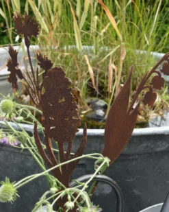 Hyacint Met Bol Op Prikker, Metaal Roest