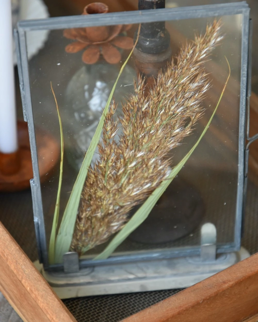 Lijstje Met Geperste Graspluim - Afbeelding 2