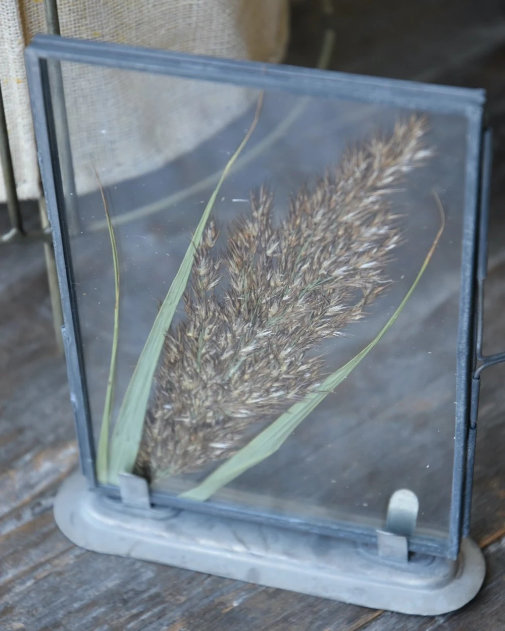 Lijstje Met Geperste Graspluim - Afbeelding 3