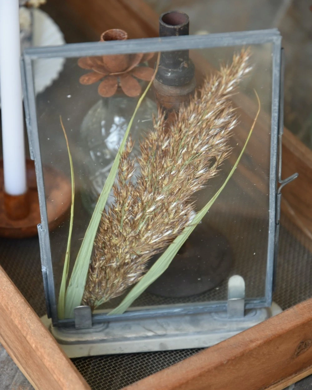 Lijstje Met Geperste Graspluim - Afbeelding 4