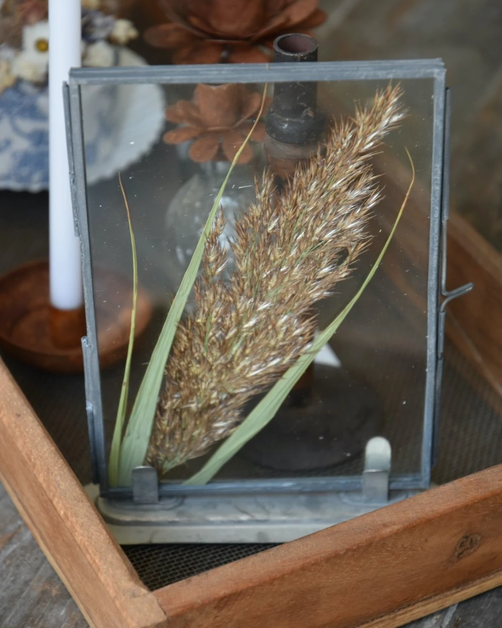 Lijstje Met Geperste Graspluim