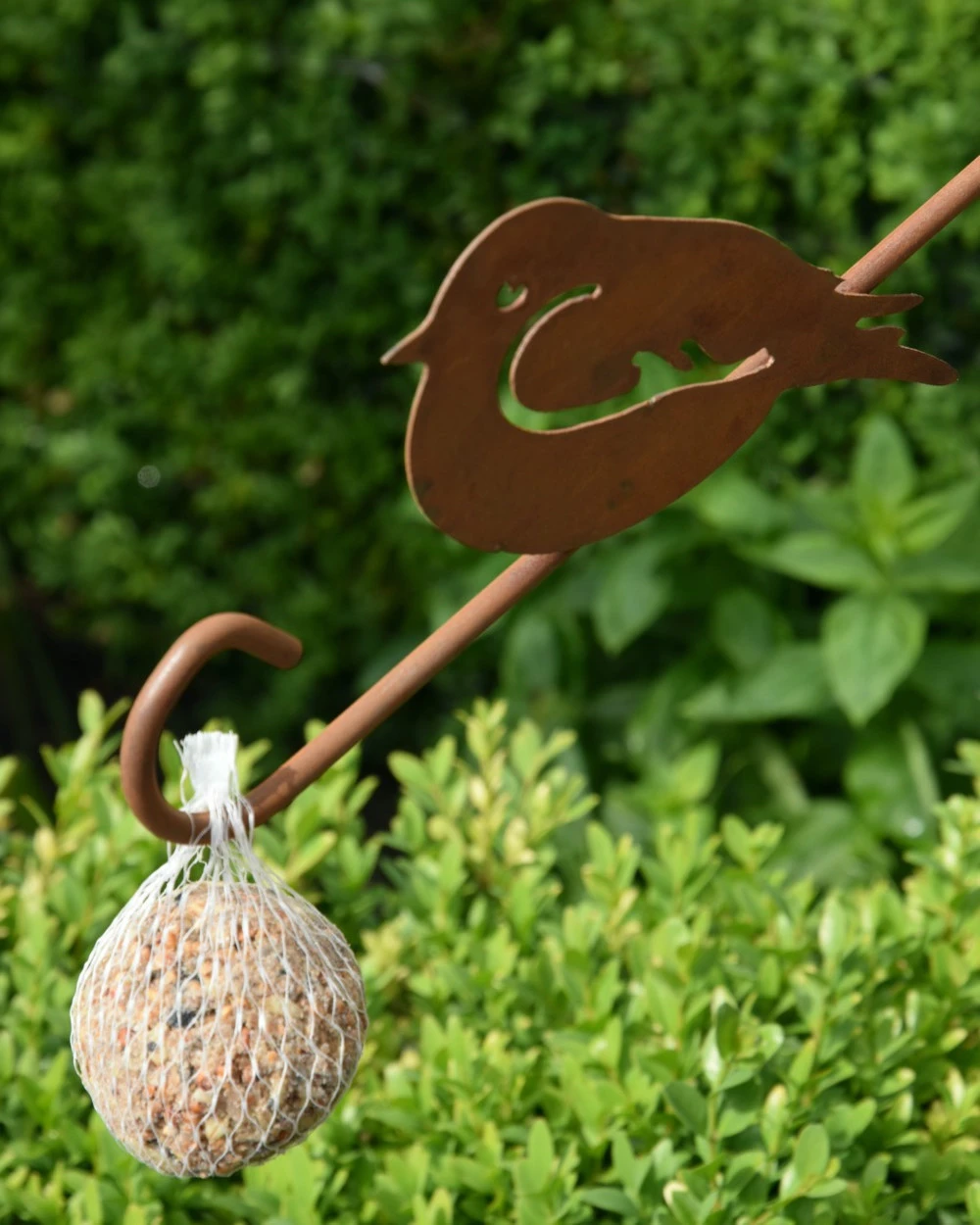 Metalen Voederhaak Met Roodborstje