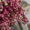 Gedroogde Peperbessen Roze Per Bos