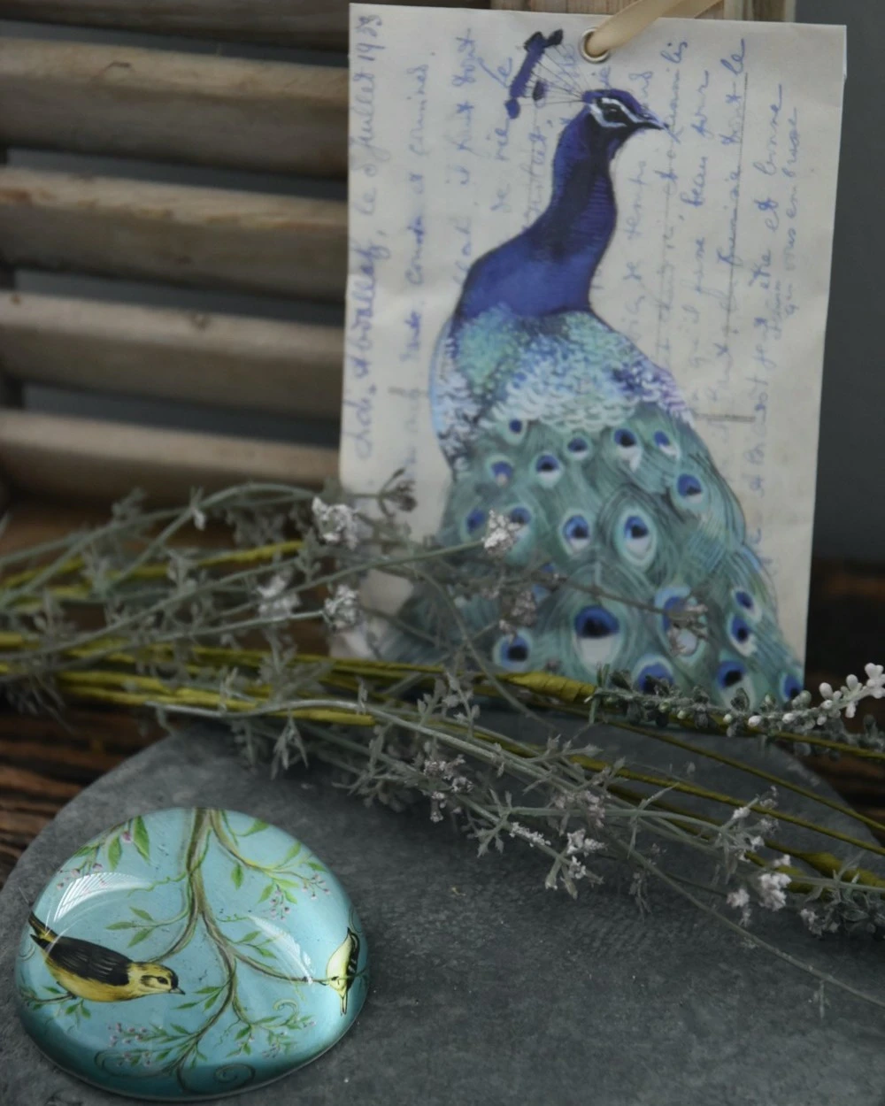 Presse Papier Met Vogels Op Tak In Pastel Blauw - Afbeelding 2