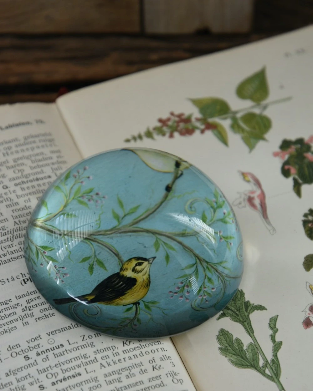 Presse Papier Met Vogels Op Tak In Pastel Blauw - Afbeelding 4