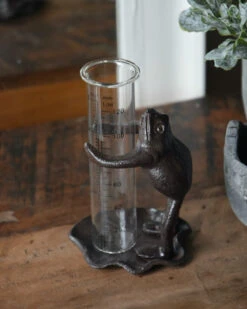 Regenmeter Kikker Op Lelieblad Die De Glazen Meter Vasthoud