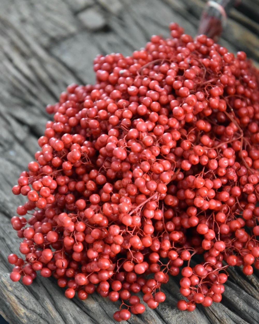 Rode Peperbessen, Gedroogd - Afbeelding 2