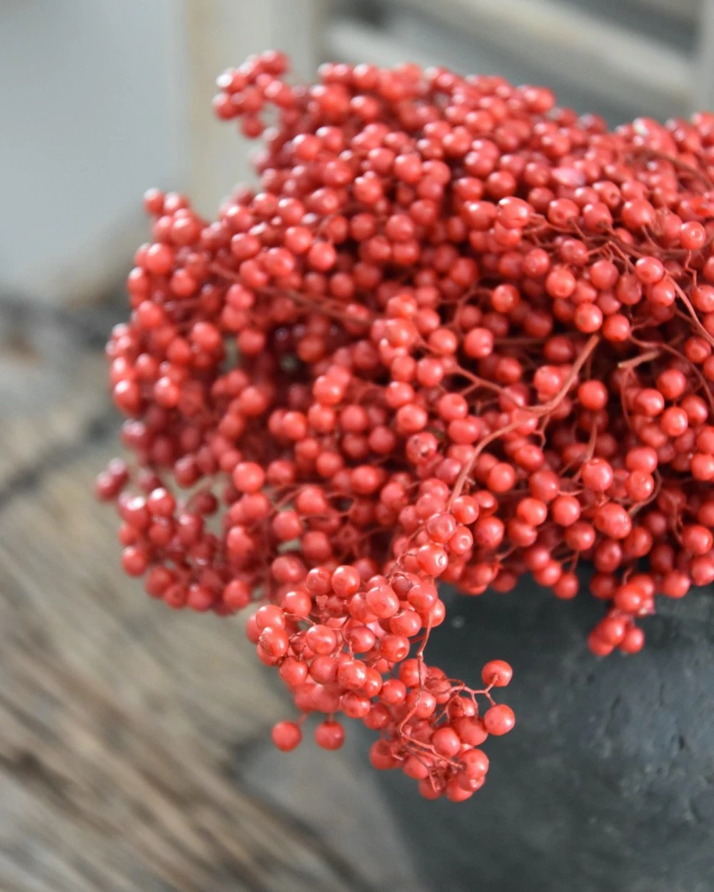 Rode Peperbessen, Gedroogd - Afbeelding 3