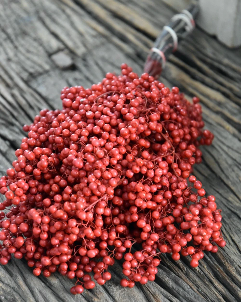 Rode Peperbessen, Gedroogd - Afbeelding 4