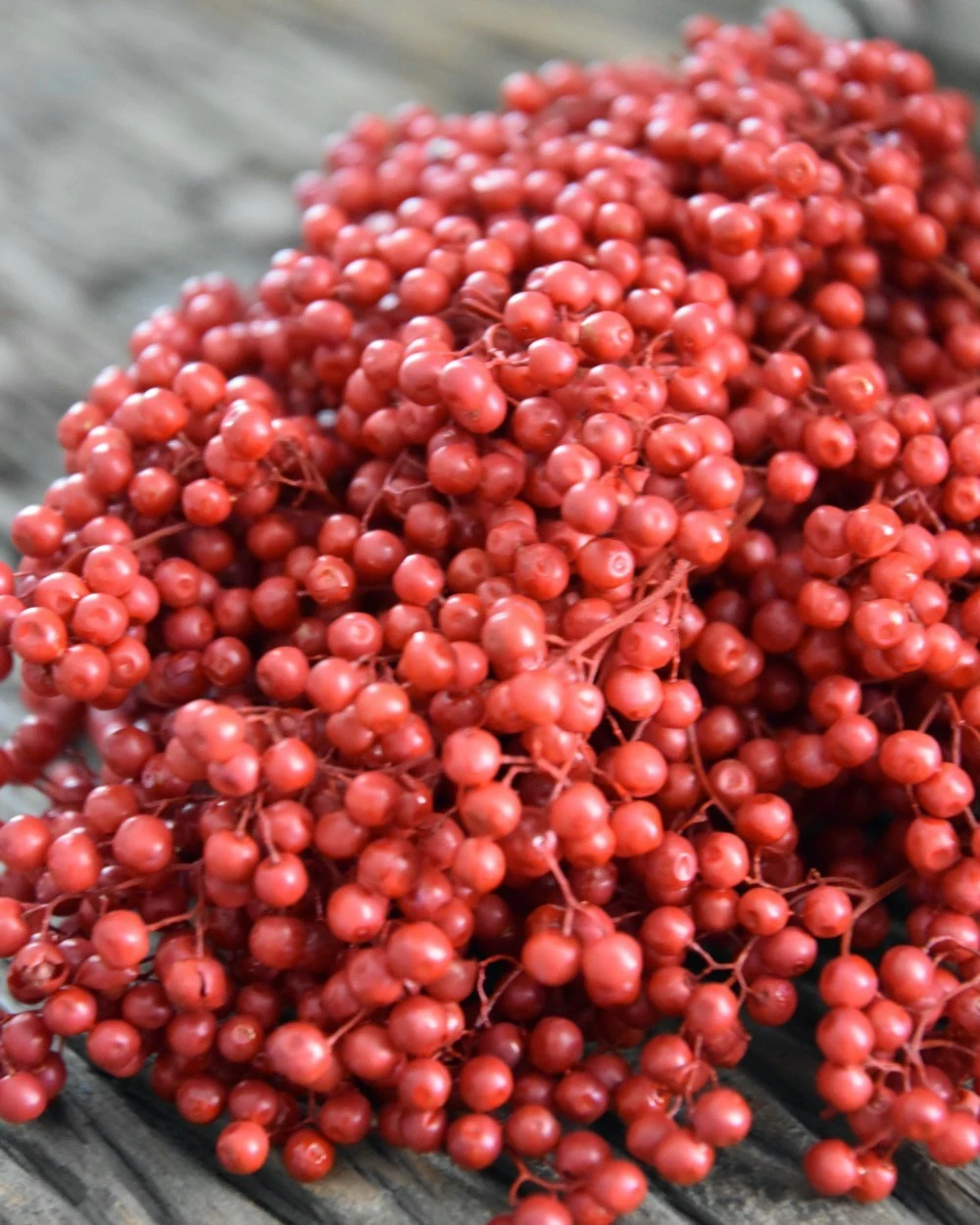 Rode Peperbessen, Gedroogd - Afbeelding 5