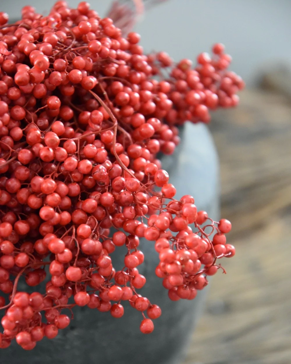 Rode Peperbessen, Gedroogd - Afbeelding 6