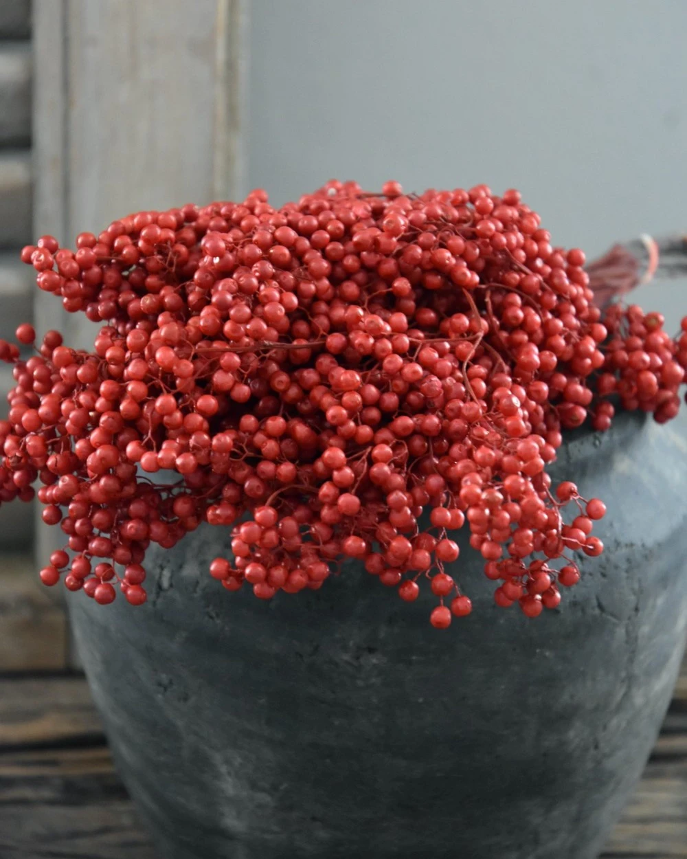 Rode Peperbessen, Gedroogd