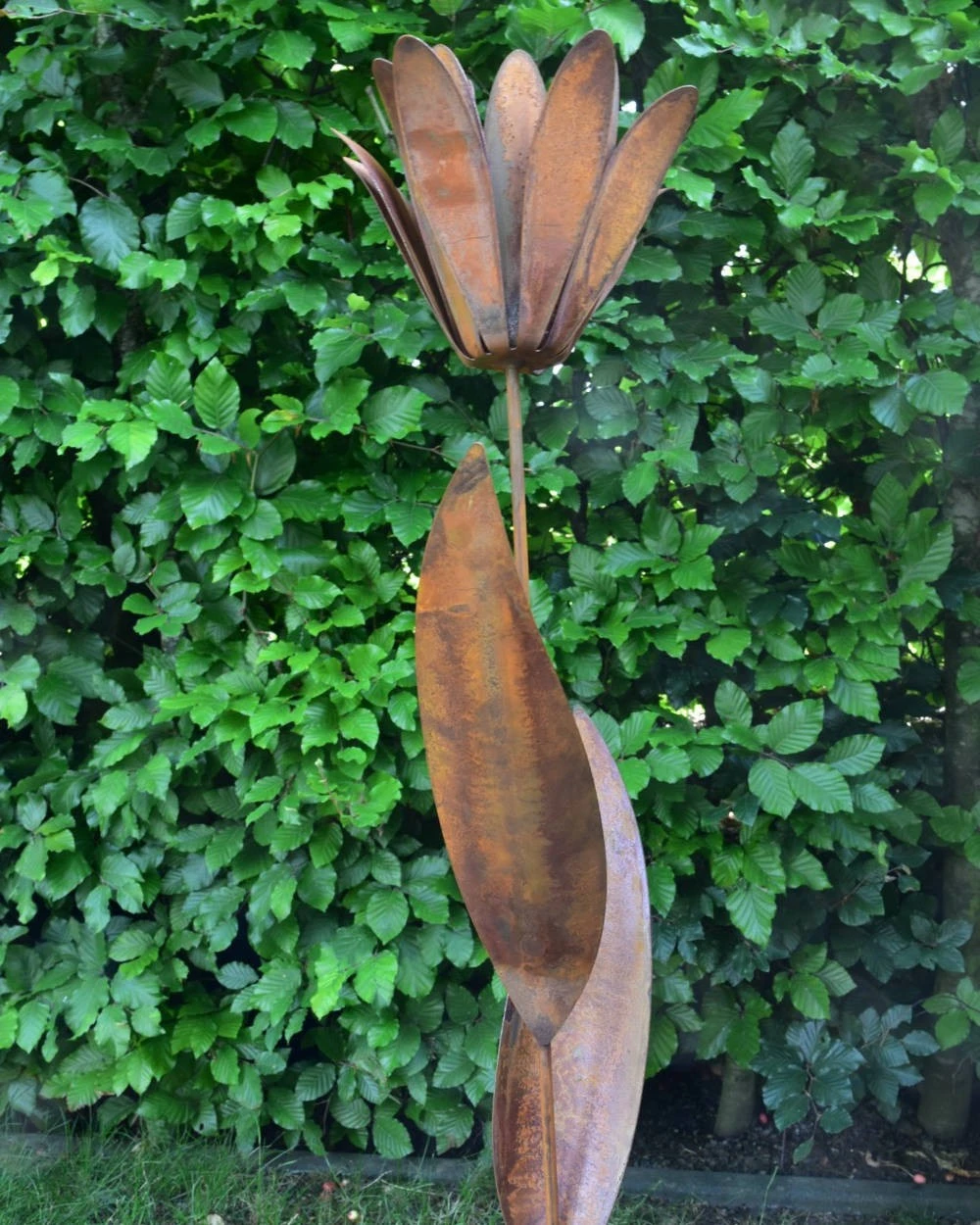 Roestbloem Als Tuinsteker - Afbeelding 2