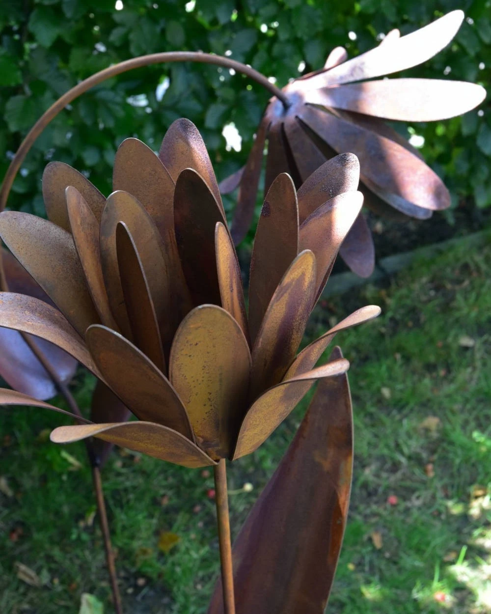 Roestbloem Als Tuinsteker - Afbeelding 4