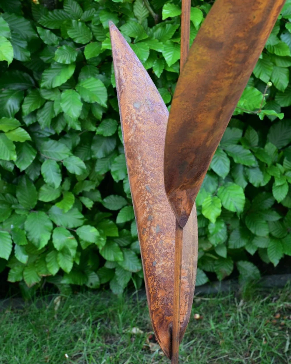 Roestbloem Als Tuinsteker - Afbeelding 5