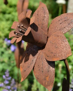 Roestbloem Tuinprikker Trompet Narcis