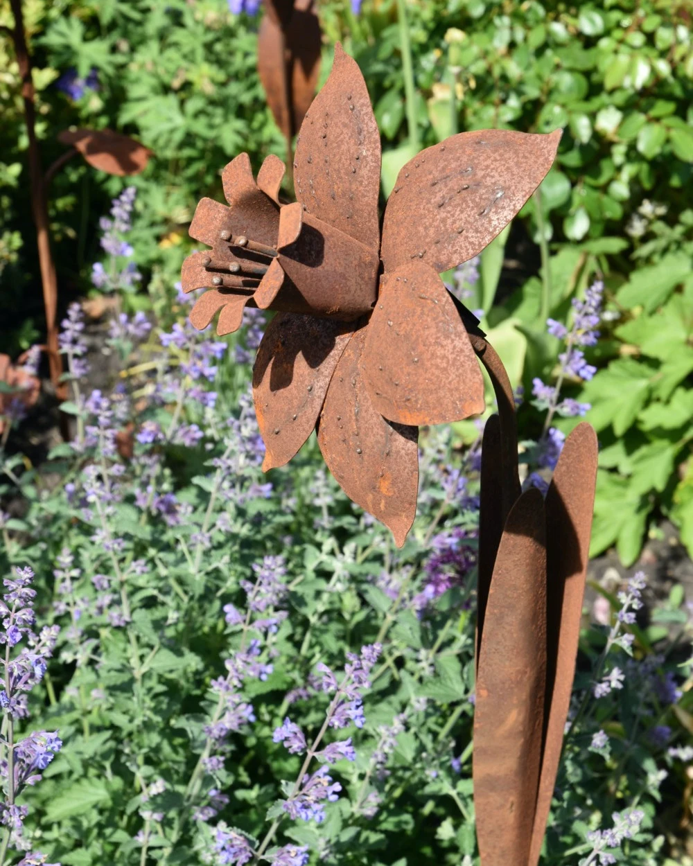 Roestbloem Tuinprikker Trompet Narcis - Afbeelding 2