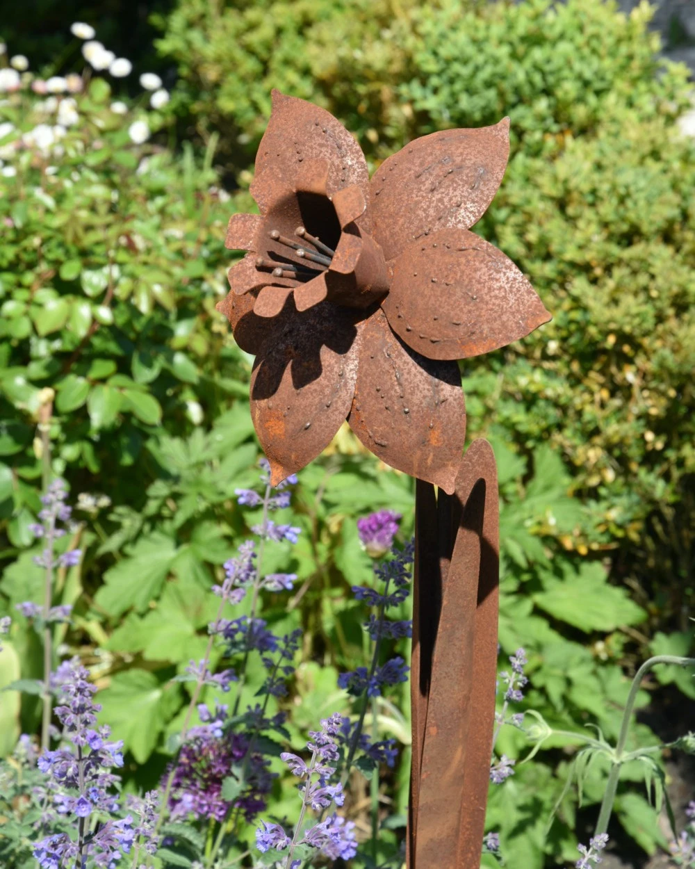 Roestbloem Tuinprikker Trompet Narcis - Afbeelding 4