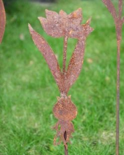 Tulp Op Prikker, Metaal Roest